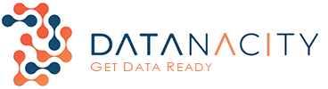 Datanacity AI Logo