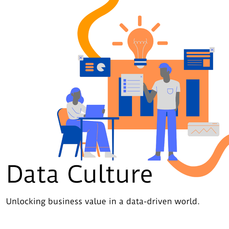 Data Culture Graphic