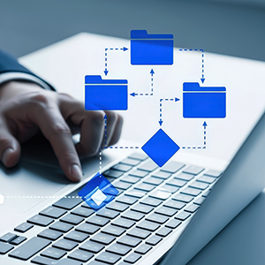 Implementing Reference and Mastar Data Icon